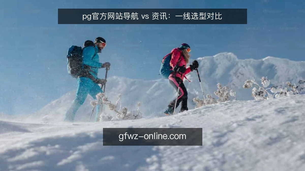 pg官方网站导航 vs 资讯：一线选型对比