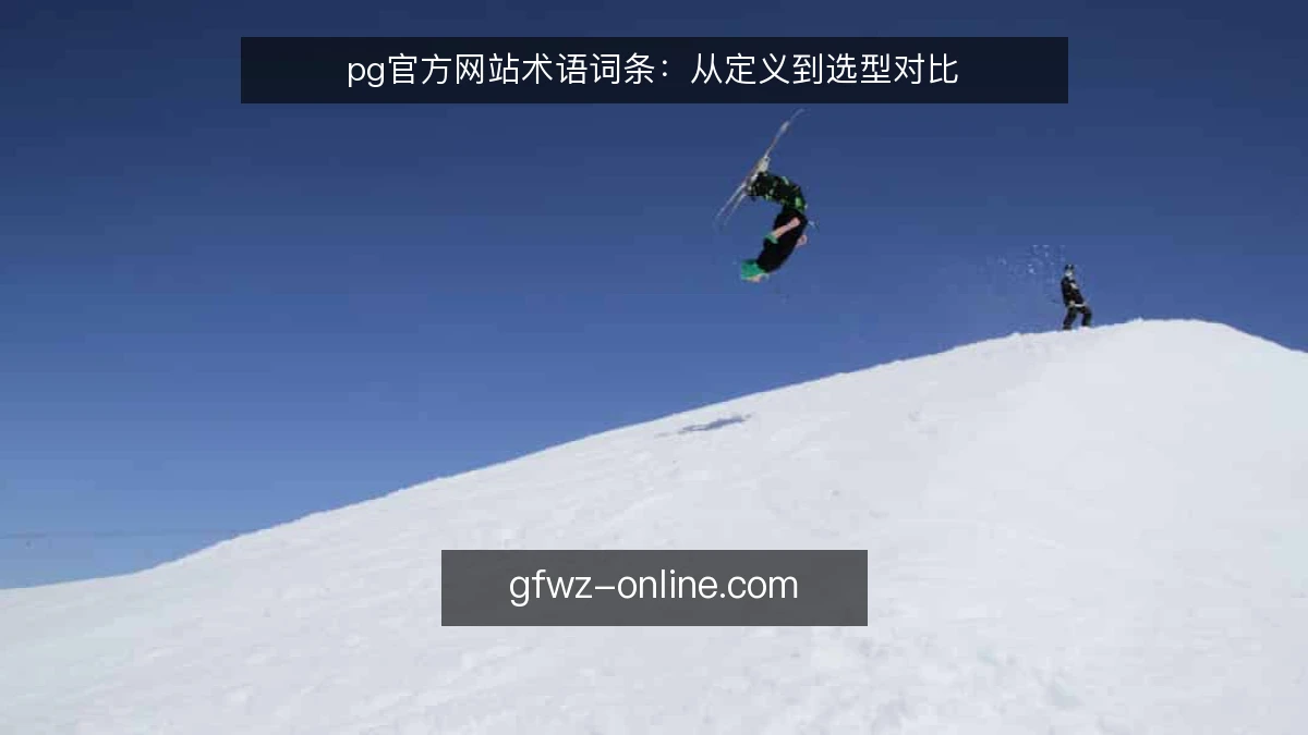 pg官方网站术语词条：从定义到选型对比