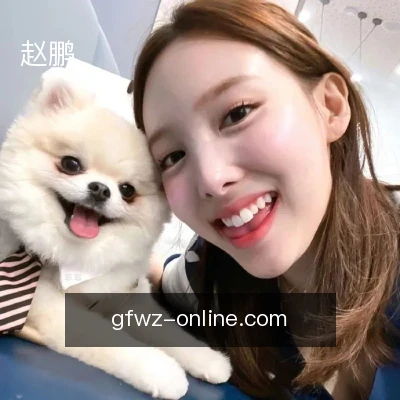 赵鹏